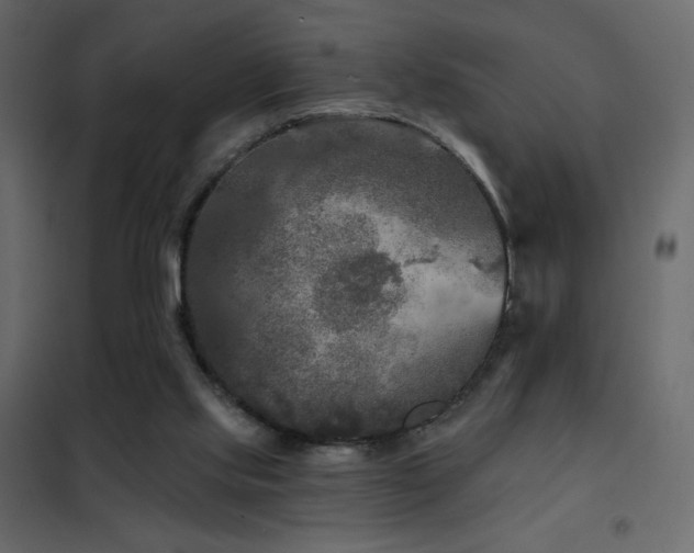 X0000102540061200808081531