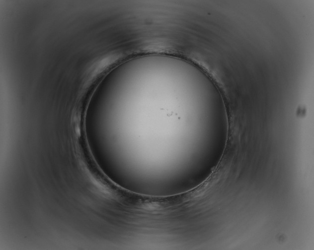 X0000102540062200808081531