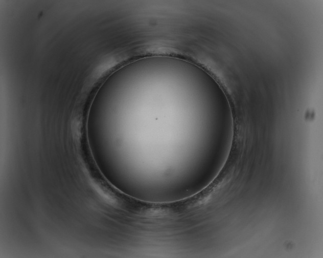 X0000102540063200808081531