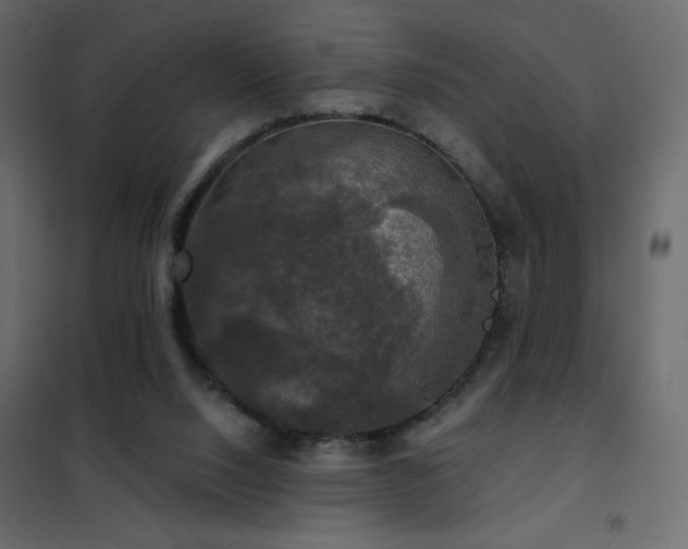 X0000102540064200808081531