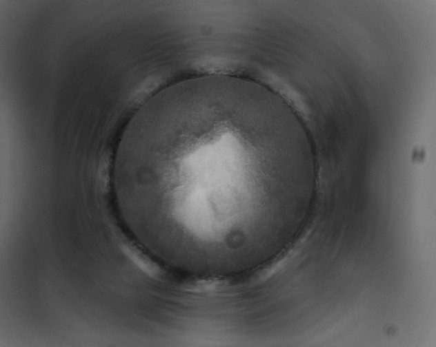 X0000102540065200808081531