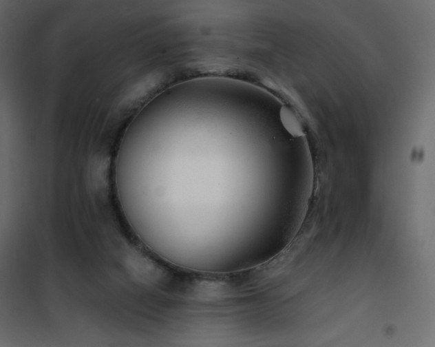 X0000102540066200808081531