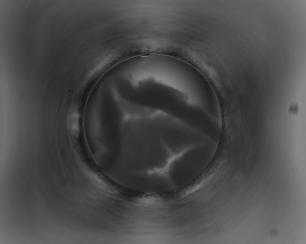 X0000102540067200808081531