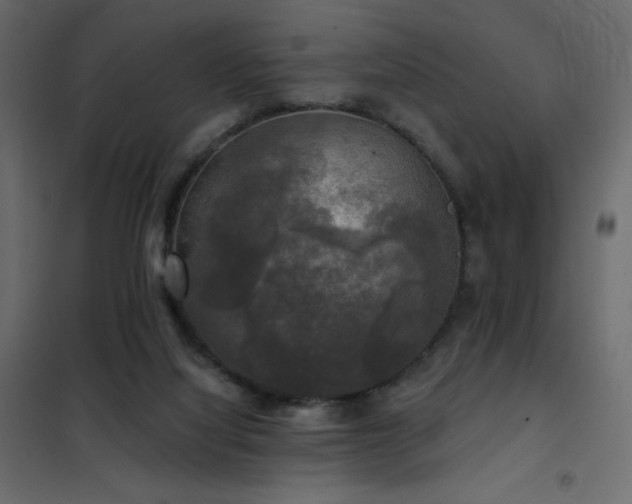 X0000102540068200808081531