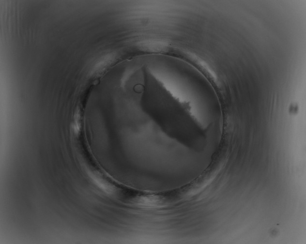 X0000102540069200808081531