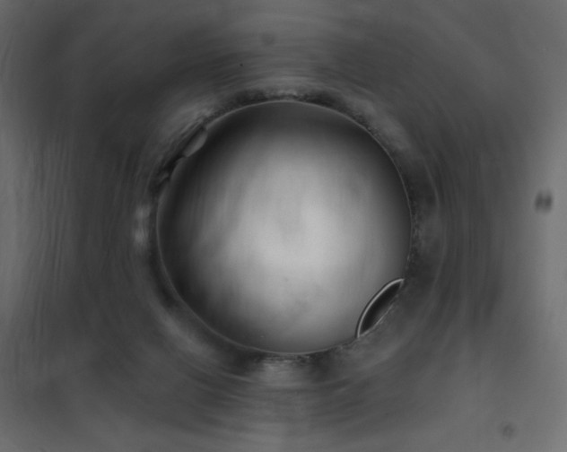 X0000102540070200808081531