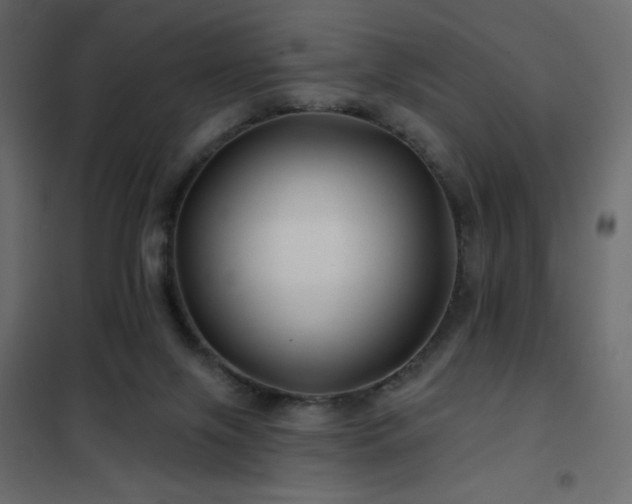 X0000102540071200808081531