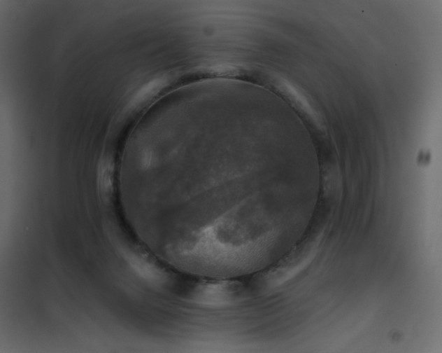 X0000102540072200808081531