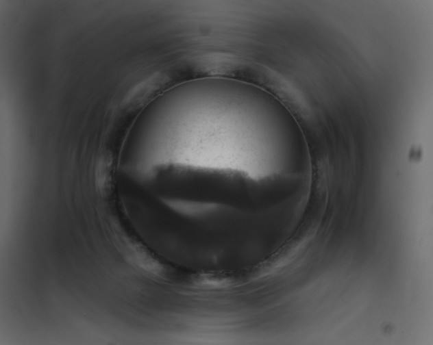 X0000102540073200808081531