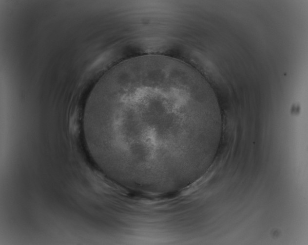 X0000102540074200808081531