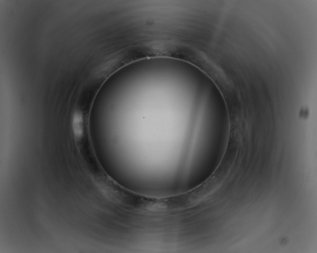 X0000102540075200808081531