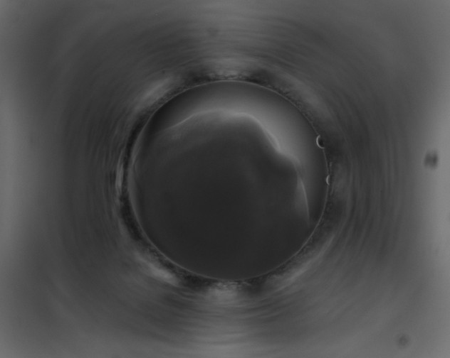 X0000102540076200808081531