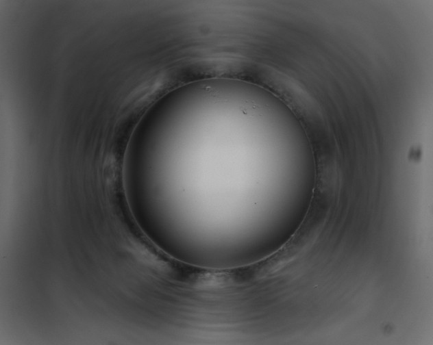 X0000102540077200808081531