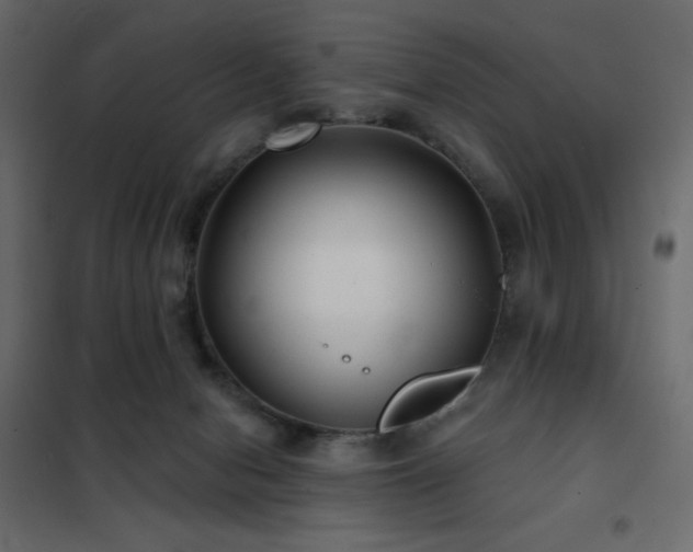 X0000102540078200808081531