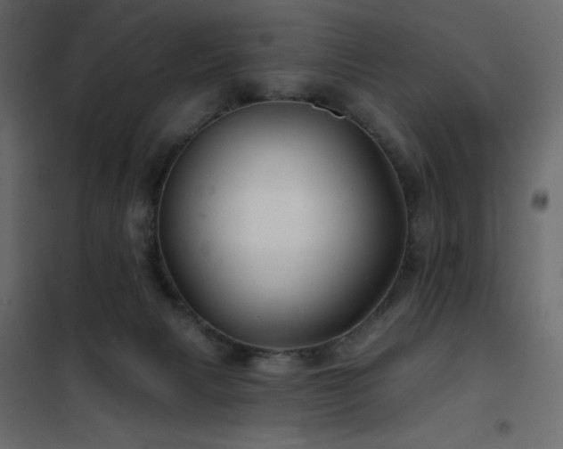 X0000102540079200808081531