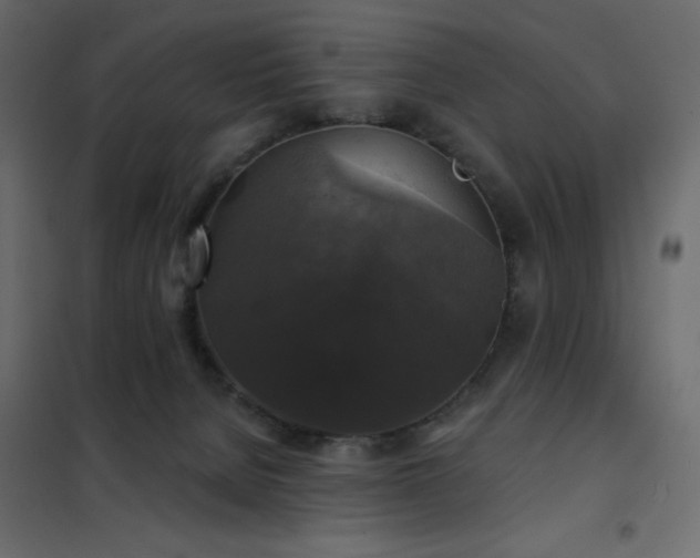 X0000102540080200808081531