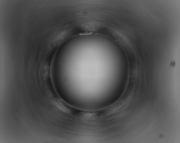 X0000102540081200808081531