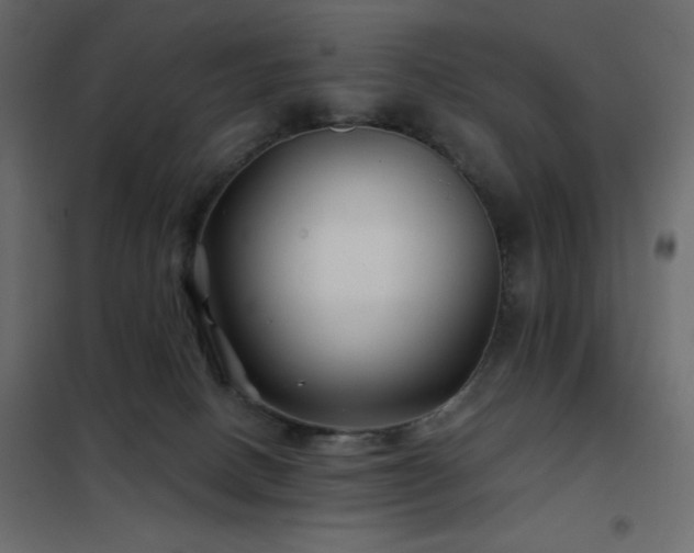 X0000102540082200808081531