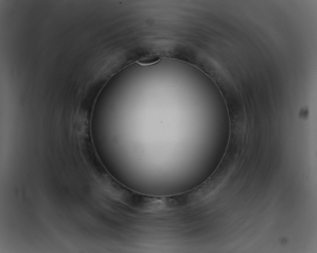 X0000102540083200808081531