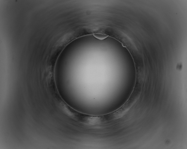 X0000102540085200808081531