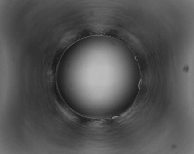 X0000102540086200808081531