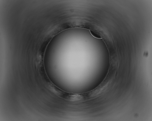 X0000102540087200808081531
