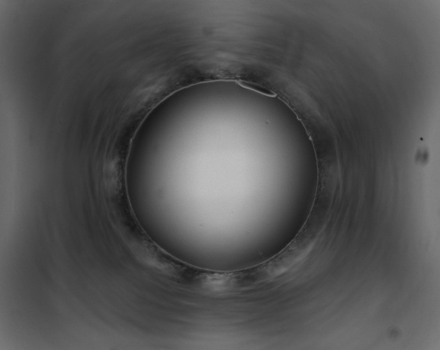 X0000102540088200808081531