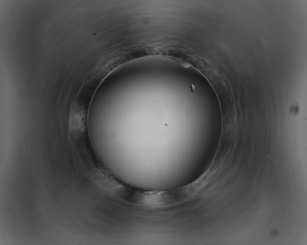 X0000102540090200808081531