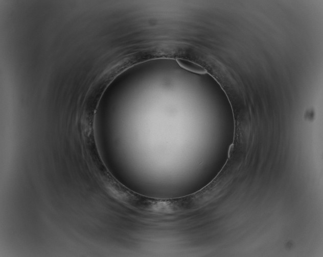 X0000102540091200808081531