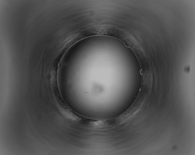 X0000102540092200808081531