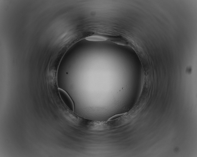 X0000102540093200808081531