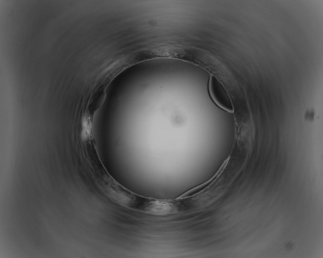X0000102540095200808081531