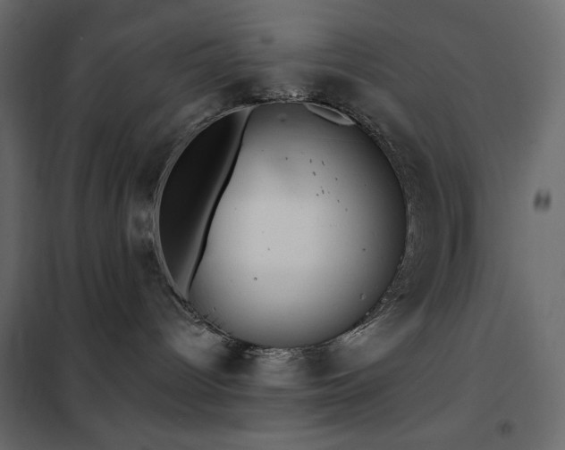X0000102540096200808081531