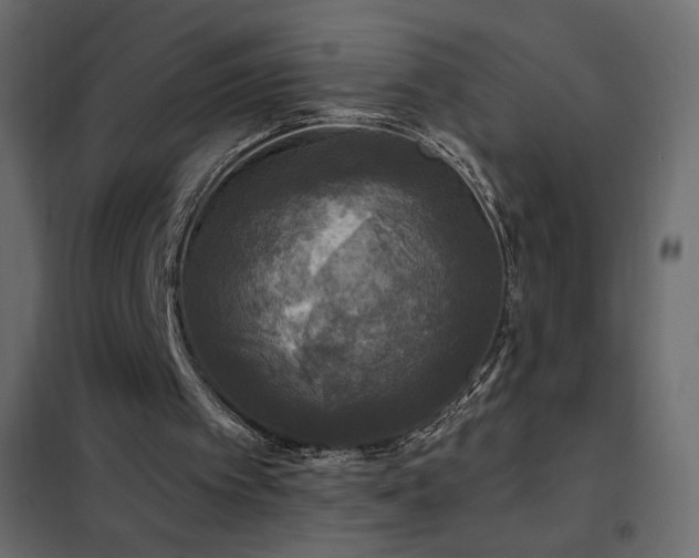 X0000102540097200808081531
