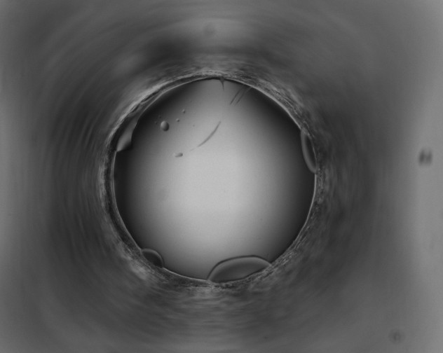X0000102540098200808081531