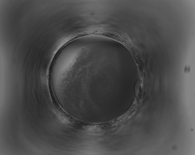 X0000102540100200808081531