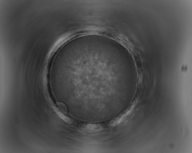 X0000102540101200808081531