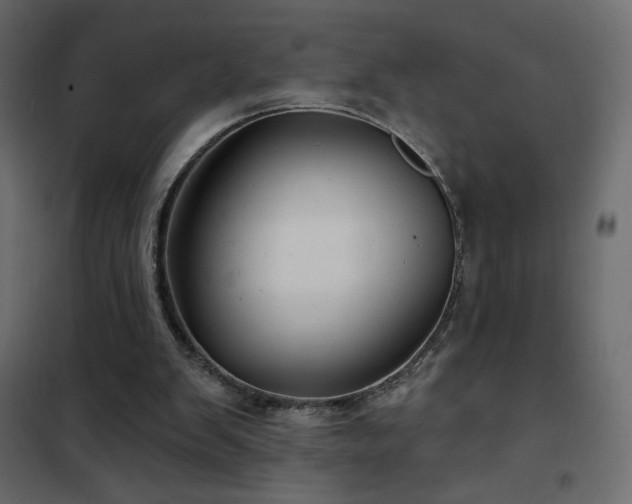 X0000102540103200808081531