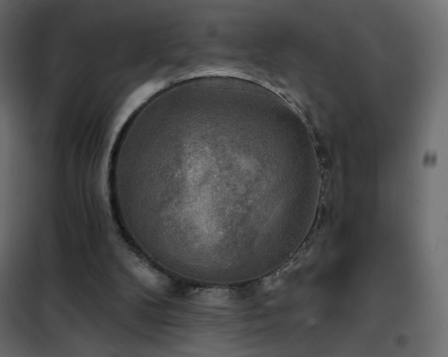 X0000102540104200808081531