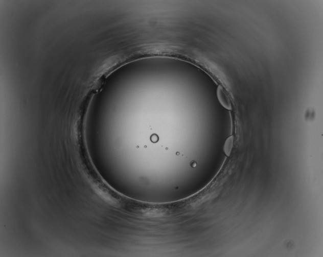 X0000102540105200808081531