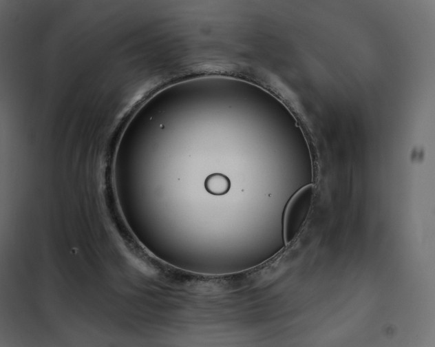 X0000102540106200808081531