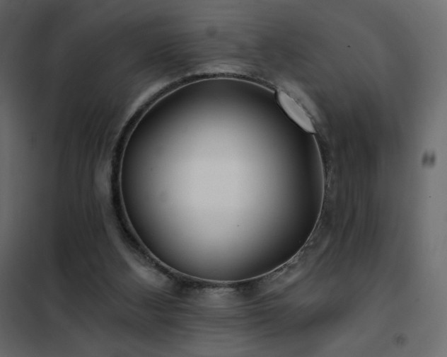 X0000102540108200808081531