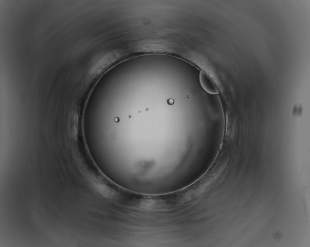 X0000102540109200808081531
