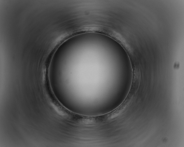 X0000102540110200808081531