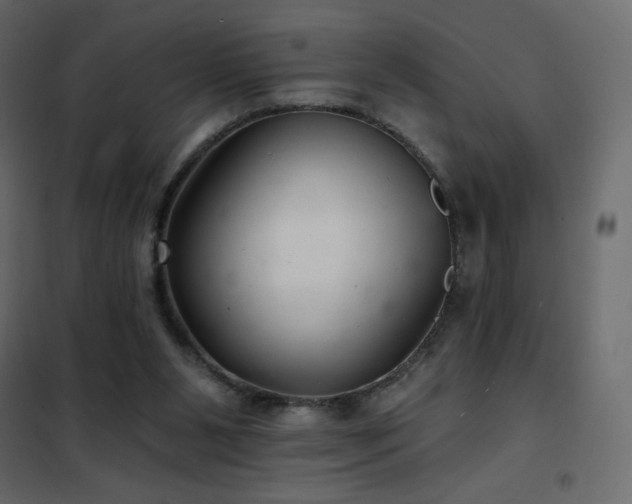 X0000102540111200808081531