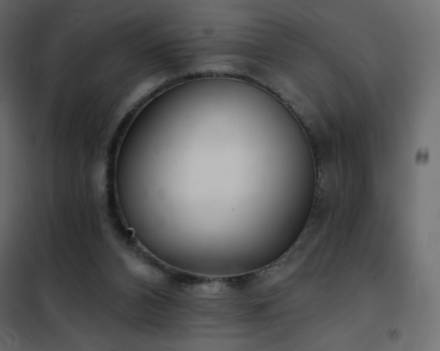 X0000102540112200808081530