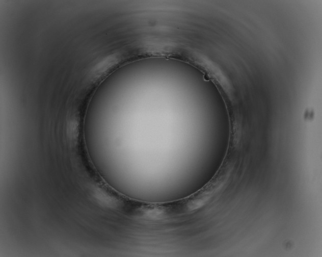 X0000102540113200808081530