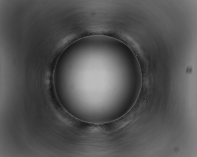 X0000102540115200808081530