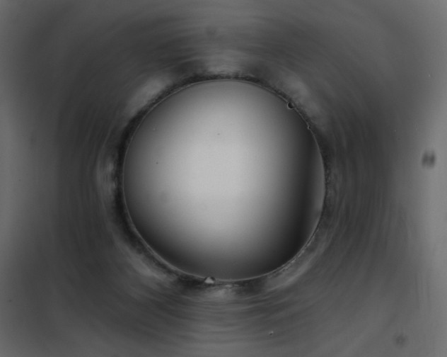 X0000102540116200808081530