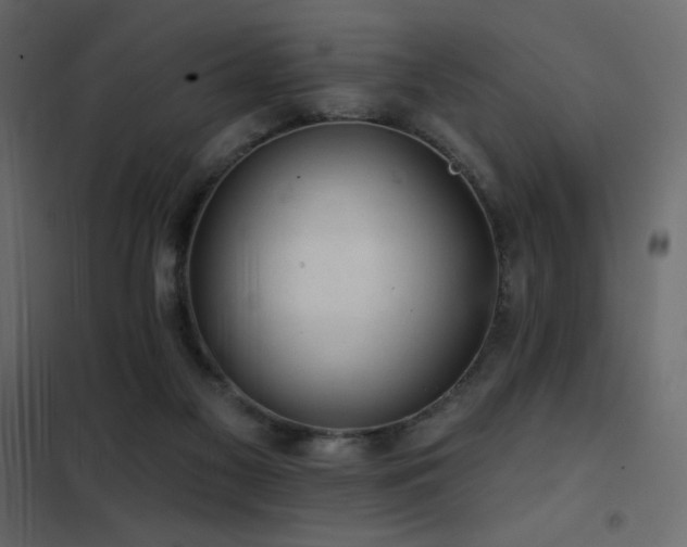 X0000102540117200808081530